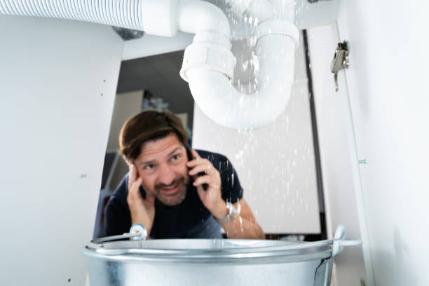 Best Best Plumbers Near Me  in Holiday Shores, IL