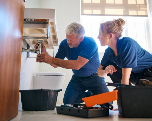 Best Commercial Plumbing Services  in Holiday Shores, IL